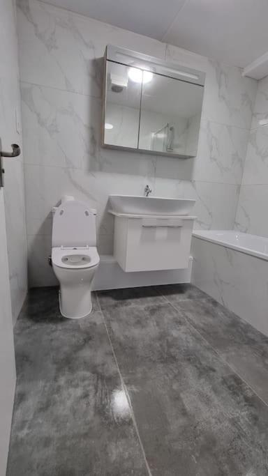 Brand New Flat Close To Turnpike Lane Tube Station London Exterior foto